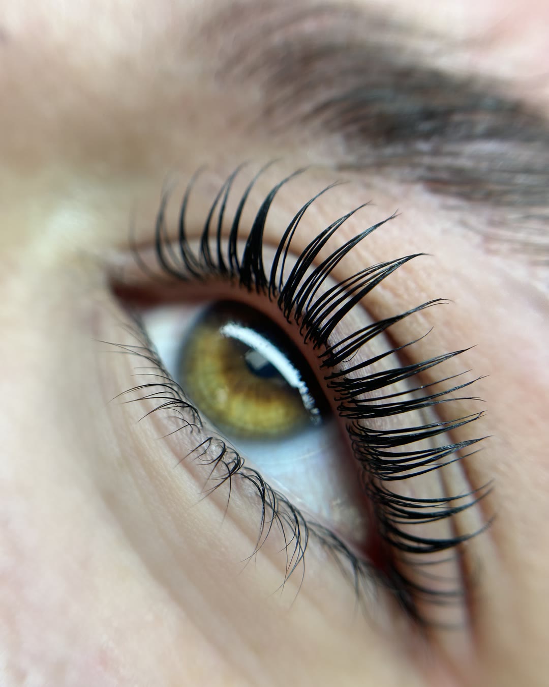 Formation Korean Lash Lift